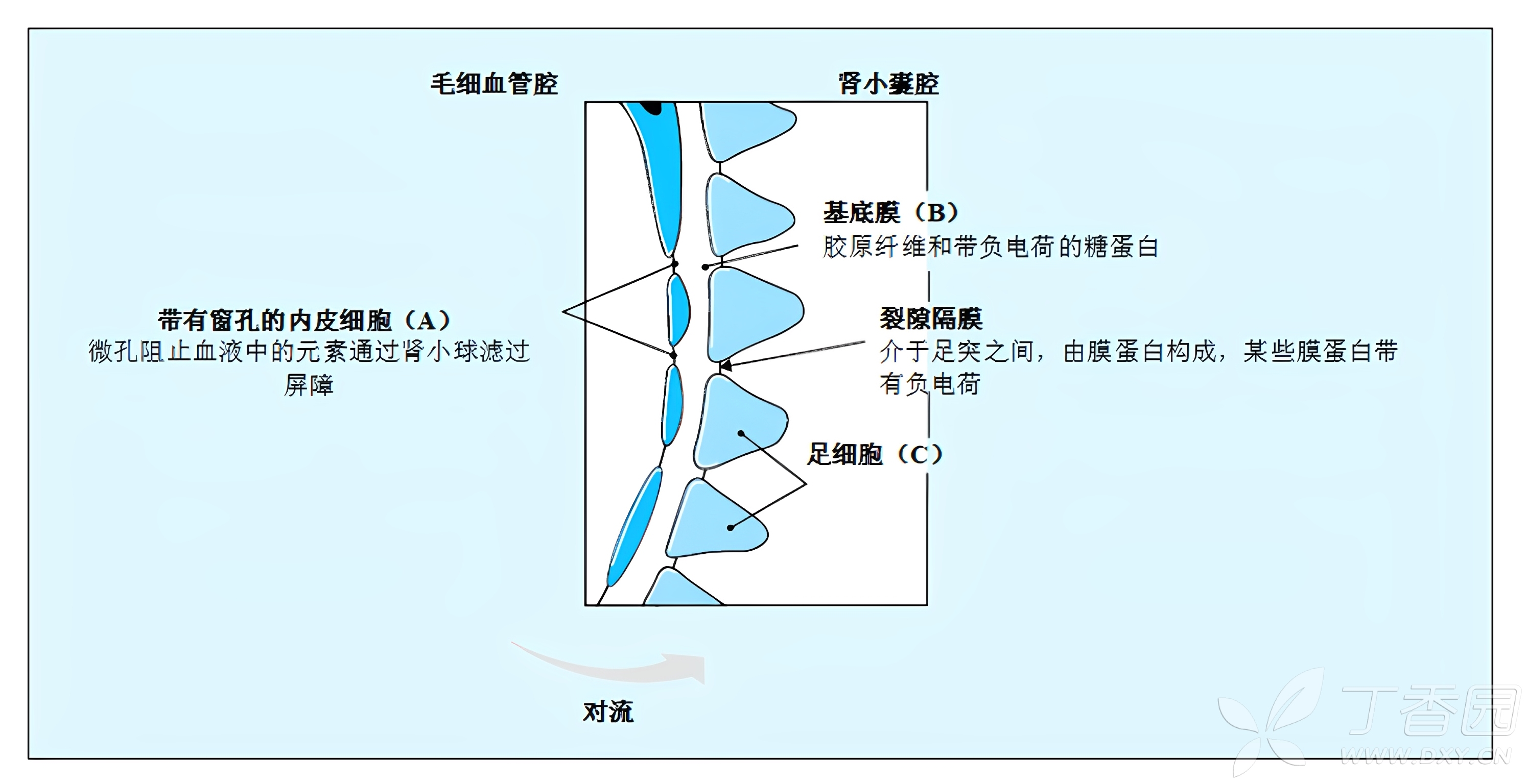 图片预览